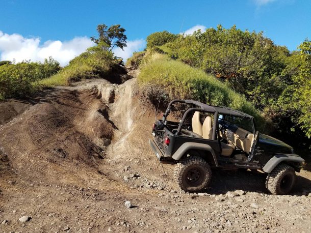 Donkey Trail in Hawaii